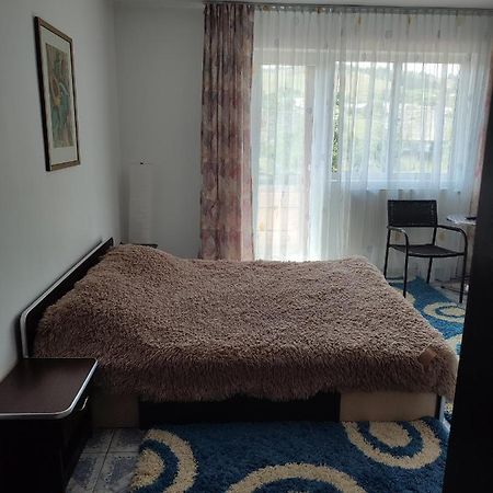 Casa Irilen Otel Mînăstirea Humorului Dış mekan fotoğraf
