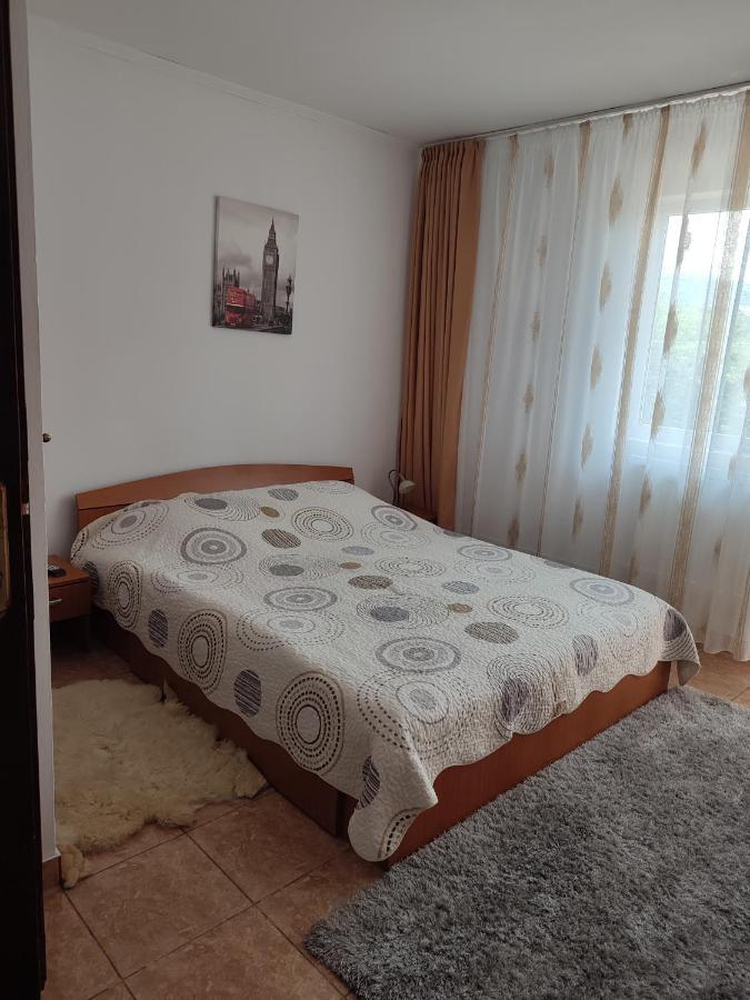 Casa Irilen Otel Mînăstirea Humorului Dış mekan fotoğraf